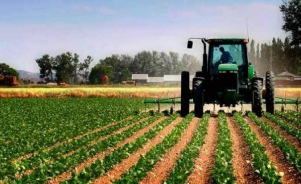 Rapport d’Oxford Business Group sur l’Algérie : Agriculture et industrie, clés de l’économie de demain