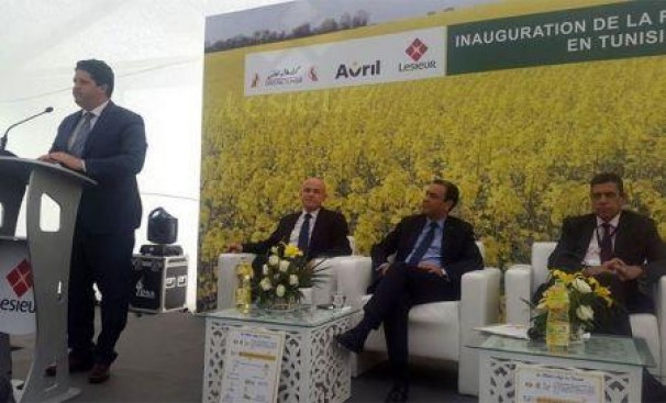 Le groupe agro-industriel Avril lance la première huile de colza 100 % tunisienne