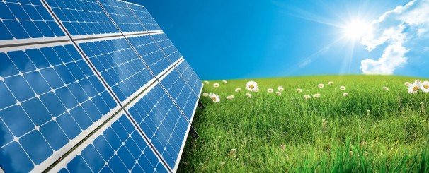 Plus de 20 entreprises à Alger intéressées par l’utilisation de l’énergie solaire