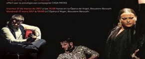 La Compagnie « Casa Patas » de musique flamenco anime un concert à Alger
