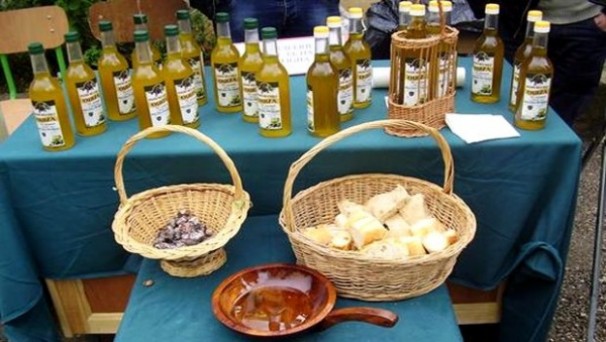 L’huile d’olive d’Ifigha se place sur le marché européen