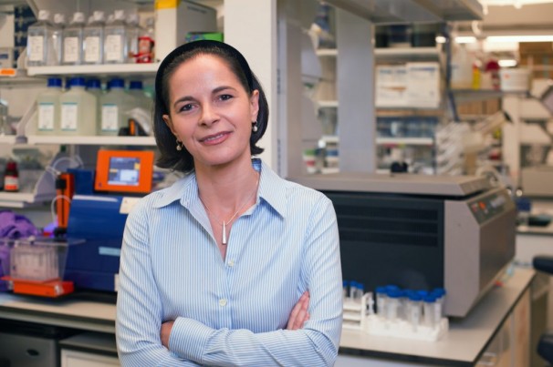 L’Algérienne Yasmine Belkaïd élue membre à vie à l’académie nationale américaine des sciences