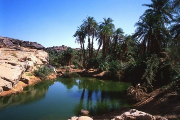 Tourisme/Promotion: faire de l’Algérie une destination touristique d’excellence