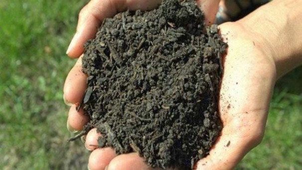 Usine de transformation des déchets de cuir en fertilisants agricoles en 2019