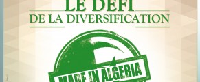 Le défi de la diversification #N3 Djazair Magazine