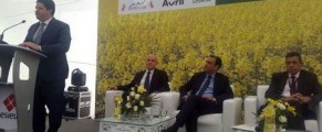 Le groupe agro-industriel Avril lance la première huile de colza 100 % tunisienne