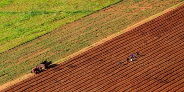 L’Afrique possède 60% des terres non cultivées au monde, selon la FAO
