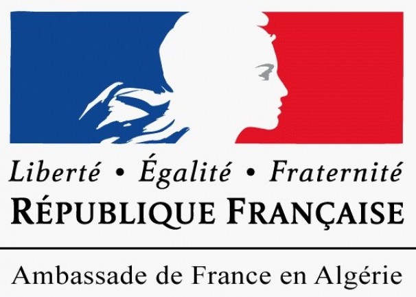 Visas : communiqué de l’ambassade de France à Alger