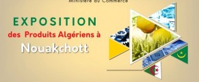 Algérie-Mauritanie: rencontre de coordination des hommes d’affaires